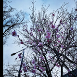 IMG 20230228 191319 644