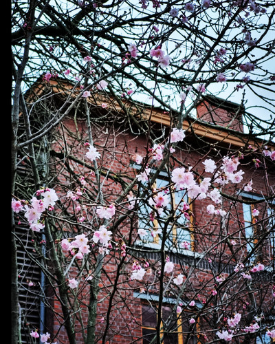 IMG 20230228 191231 228.jpg