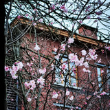 IMG 20230228 191231 228