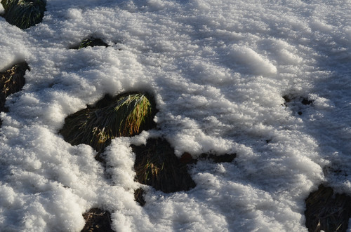 IMG 20230302 103950.jpg