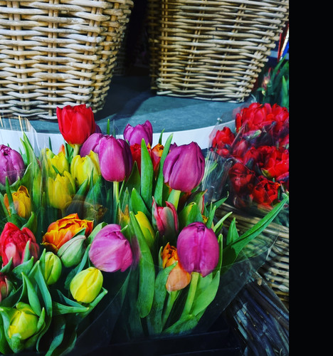 IMG 20230301 212734 691.jpg