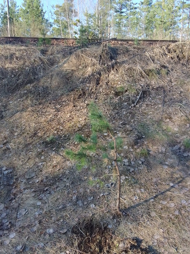 IMG 20230423 182531 HDR.jpg