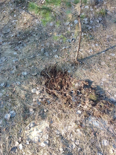 IMG 20230423 182523.jpg