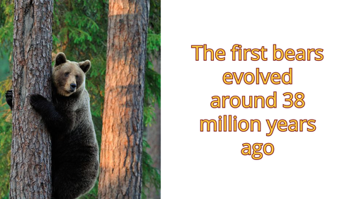 Screen Shot 2023 03 27 at 4.56.28 PM.png