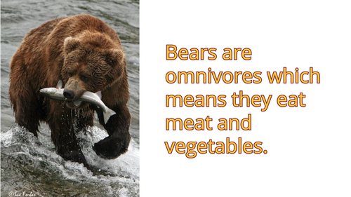 Screen Shot 2023 03 27 at 4.55.39 PM.png