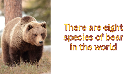 Screen Shot 2023 03 27 at 4.57.13 PM.png