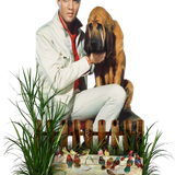 1717718ptO9Guq6.png