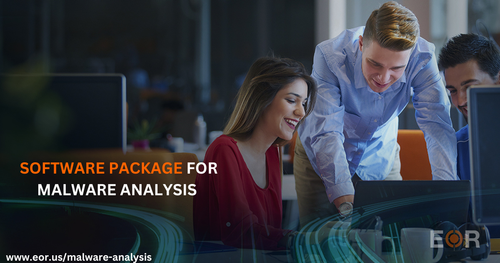 Software package for Malware Analysis.png
