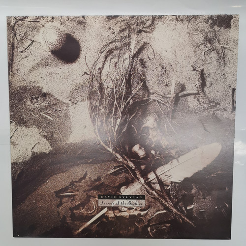 IMG 20230427 133516.jpg