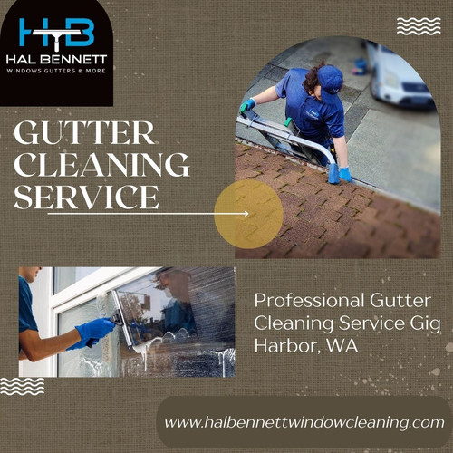 Gutter cleaning.jpg