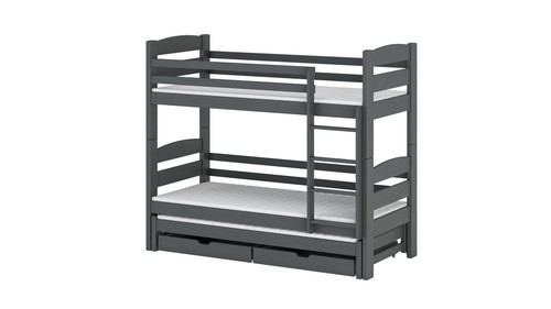 Lozeczko CEZAR graphite.jpg