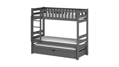 Lozeczko HARVEY graphite.jpg