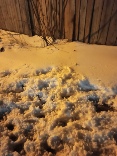 IMG 20230427 204135.jpg