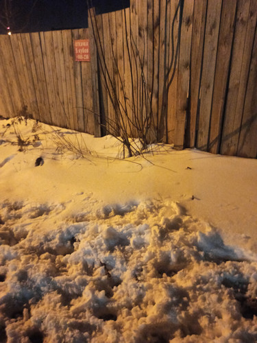 IMG 20230427 204137.jpg