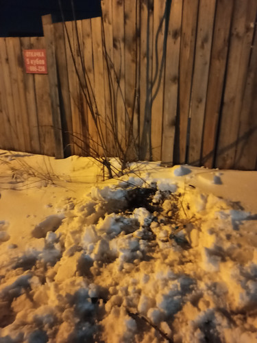 IMG 20230427 205301.jpg