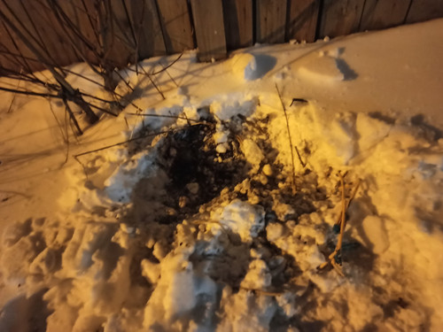 IMG 20230427 205329.jpg