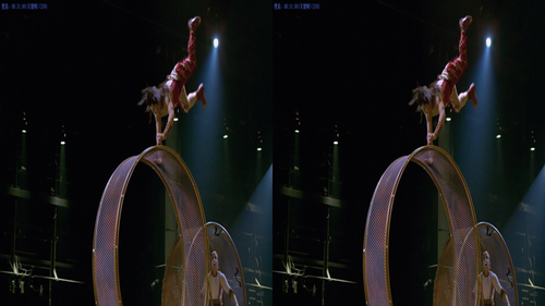 Cirque.Du.Soleil.Worlds.Away.3D.2012.1080p.BluRay.Half OU.DTS.x264 HDMaNiAcS.mkv 20230427 231720.297.png