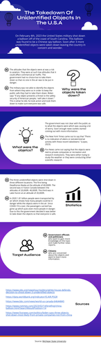 minimalist lead 61308001 (1).png