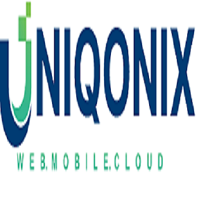 IT consulting and outsourcing services.png