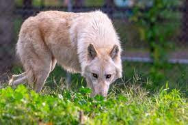 5D01539E 44D6 4C72 AE50 E2898651F886.jpg