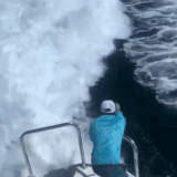 k9ct6 wny63.gif