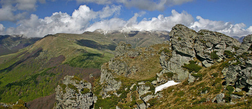 midzor best 02 1106x480.jpg
