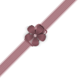 0 67c1b d9c6b9f9 L.png