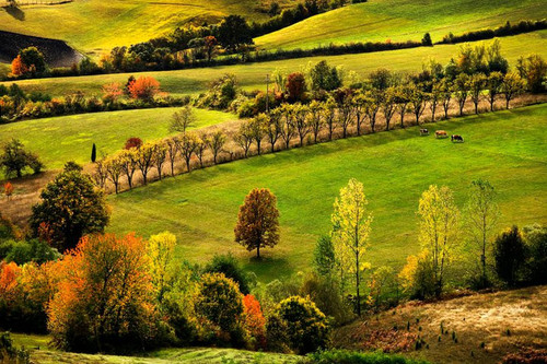 148748 160973427271330 8241008 n.jpg