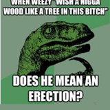 NIGGA ERECT.png
