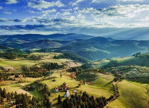zlatar4.jpg