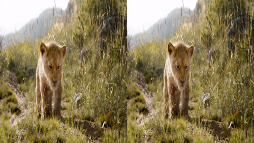 The.Lion.King.2019.1080p.3D.BluRay.Half SBS.x264.TrueHD.7.1.Atmos FGT.mkv 20230425 151616.557.png