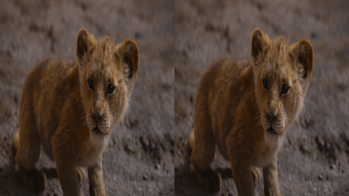 The.Lion.King.2019.1080p.3D.BluRay.Half SBS.x264.TrueHD.7.1.Atmos FGT.mkv 20230425 151618.910.png