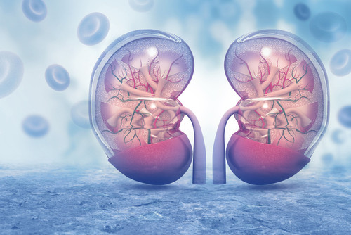 Overcoming Obstacles: The Hopes and Challenges of Kidney Transplant | Medanta.jpg