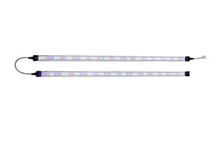 Shining a Light on Indoor Gardening: The Ultimate Guide to Grow Lights.jpg