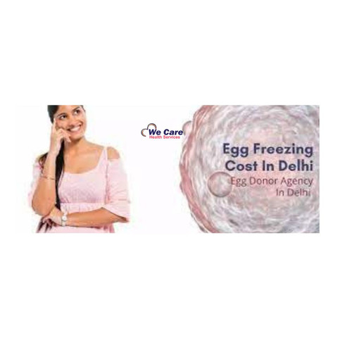 egg donor cost in delhi.jpg