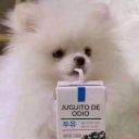 2f5a97a727729966241ede1a702a20d8.png