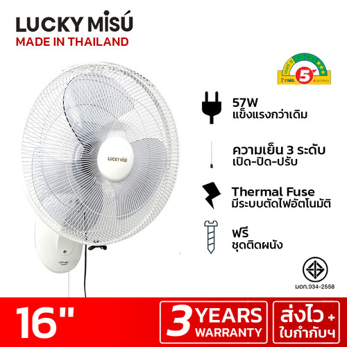 luckymisu fan 16 wall fan LM959 1.jpg