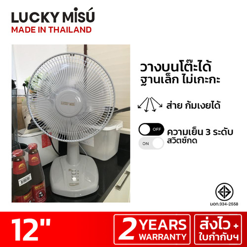 luckymisu fan 12 table fan LM521 grey 2.jpg