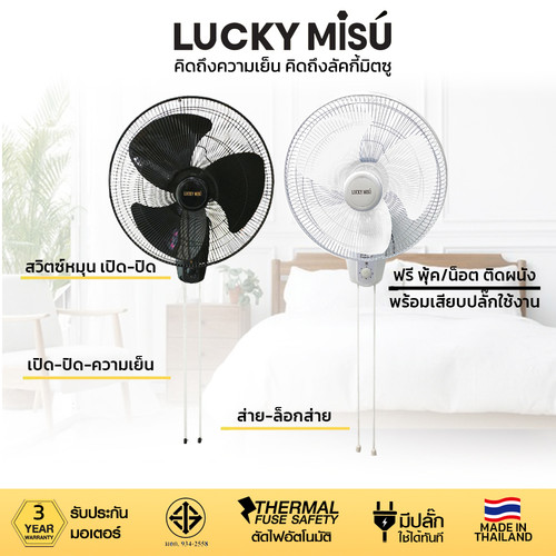 luckymisu fan 18 wall fan LM878 LM222.jpg