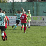 lsc linz niederthalheim 1 4 09 10 2022 13