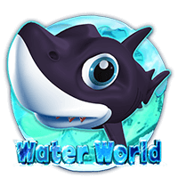 29.webp