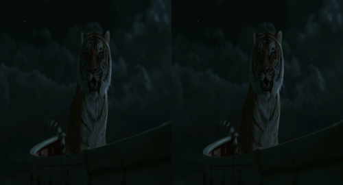Life Of Pi 2012 1080p H264 AAC 5 1 3D (HSBS) Bluray RealGoneKid BennuRG.mp4 20230425 194937.979.png