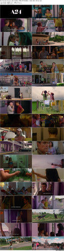 The.Florida.Project.2017.BluRay.1080p.DTS HD.MA5.1.x265.10bit BeiTai preview.jpg
