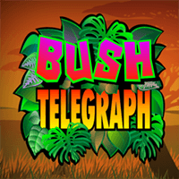 smg bushtelegraph icon square 250x250 en.webp