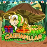 smg cashapillar icon square 250x250 en