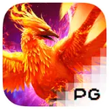 titi4d phoenix rises