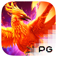 titi4d phoenix rises.webp