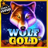 vs25titi4dwolfgold t