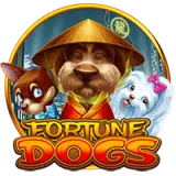 SGtiti4dFortuneDogs