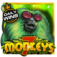 vs7titi4dmonkeys t.webp